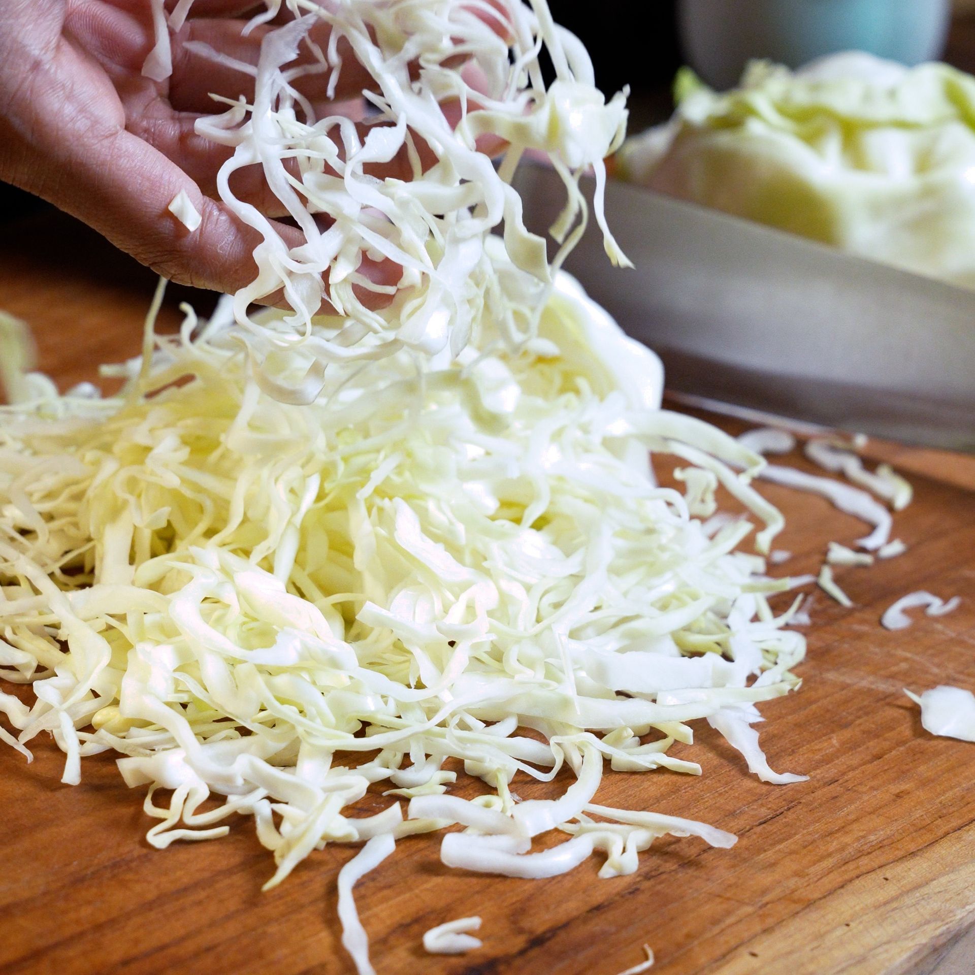 Shredded Cabbage